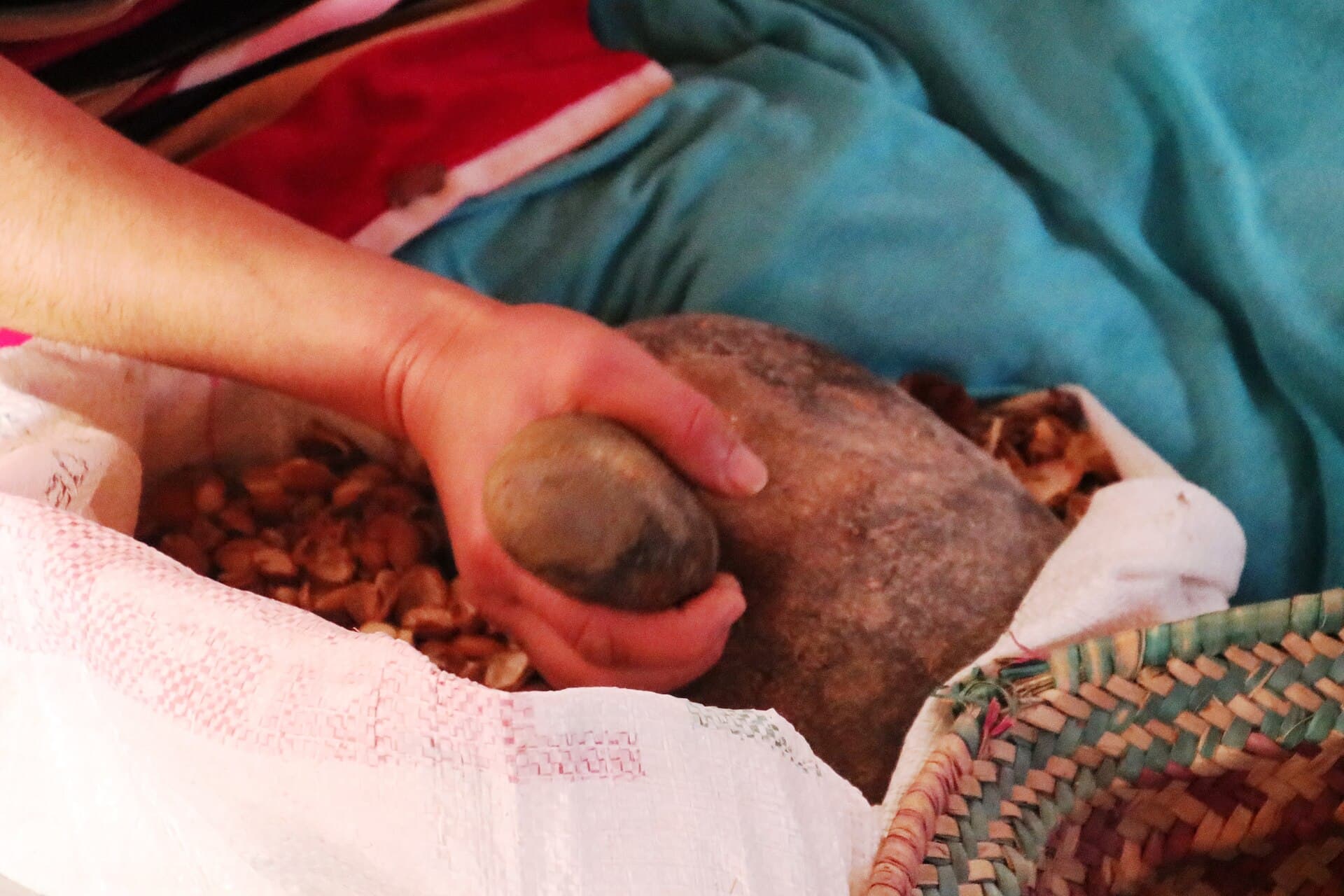 A woman's hands at the Marjana women's cooperative in Morocco cracking argan nuts open with a smooth round stone against a flat anvil stone, the shelled kernels heaped on a cloth beside a woven palm basket