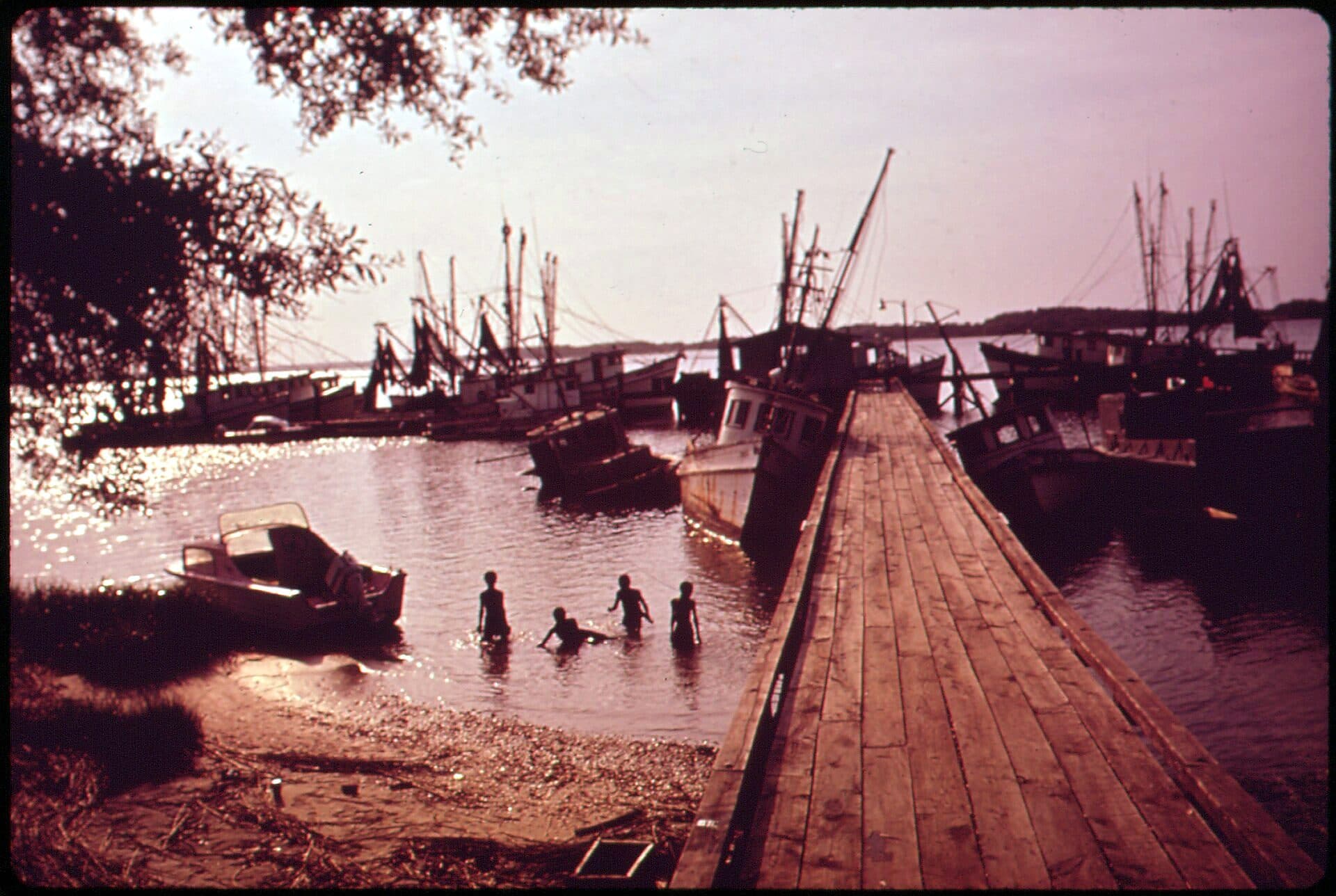 A shrimp fleet belonging to a Black-owned fishing cooperative off Hilton Head, South Carolina, in the 1970s